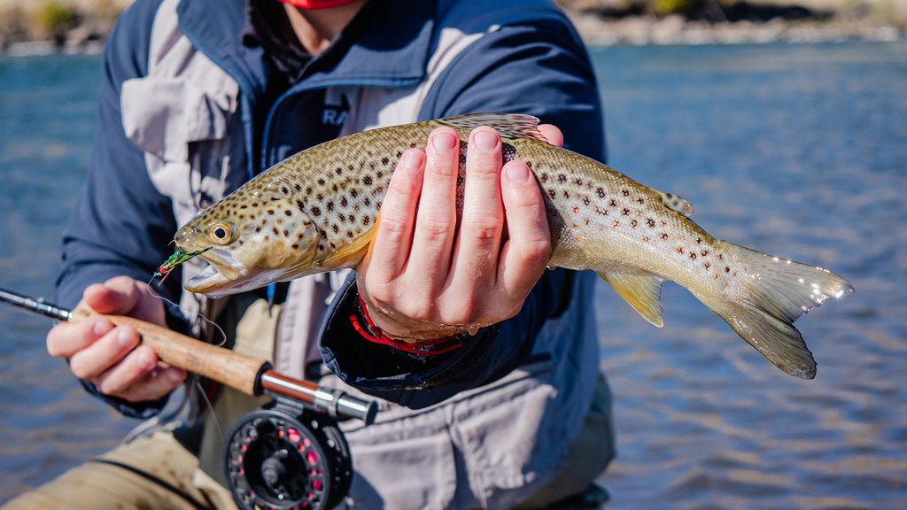 Fly Fishing Gear Guide: Choosing the Right Setup