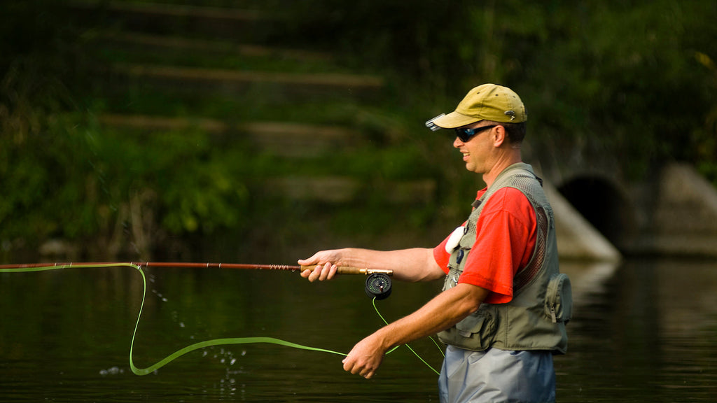 The Complete Beginner's Guide to Fly Fishing (2026)