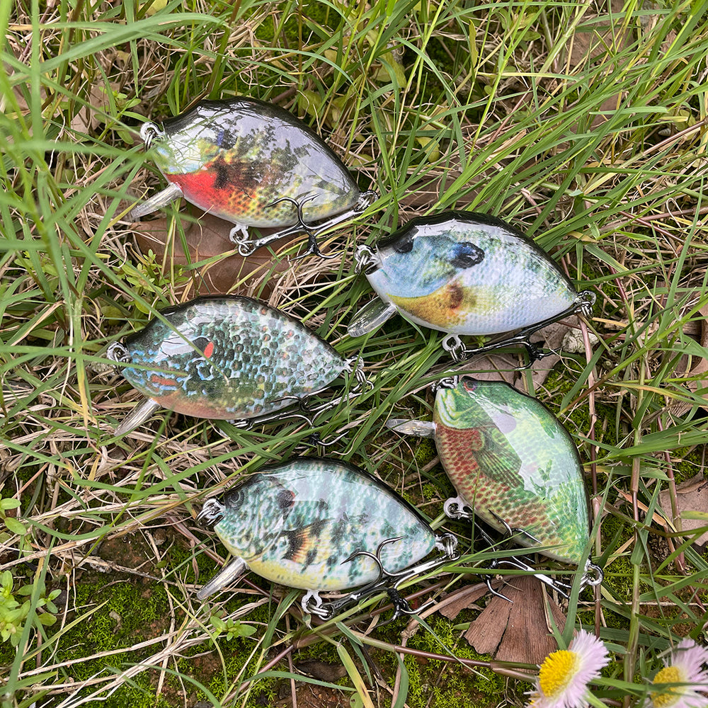 HERCULES Crankbait Shallow Crank Lure HERCULES