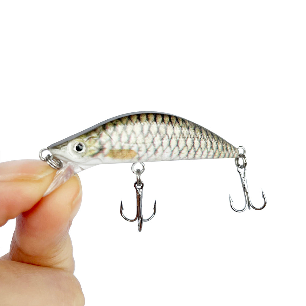 HERCULES 2.16" Minnow Baits Fishing Lure Box of 5PCS HERCULES