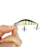 HERCULES 2.16" Minnow Baits Fishing Lure Box of 5PCS HERCULES