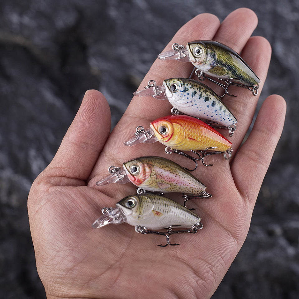 HERCULES Mini Crank Baits 4.5cm 3.5g 5pcs with PP Box HERCULES