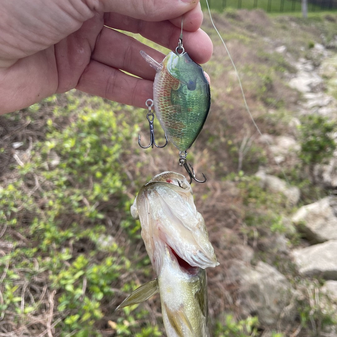 HERCULES Crankbait Shallow Crank Lure HERCULES