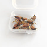 HERCULES Sturdy Realistic Nymph Scud Flies, Fly Fishing Lures, Wet Flies HERCULES SALE