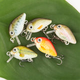 HERCULES 5Pcs/Box Mini Crankbaits Set Fishing Lures Hard Baits Swimbaits Boat Ocean Topwater Lures for Trout Bass Perch Fishing Lures HERCULES SALE