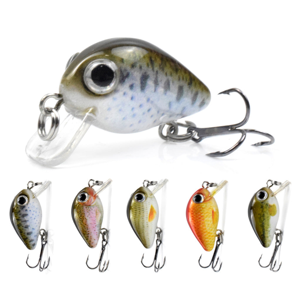 HERCULES 5Pcs/Box Mini Crankbaits Set Fishing Lures Hard Baits Swimbaits Boat Ocean Topwater Lures for Trout Bass Perch Fishing Lures HERCULES SALE