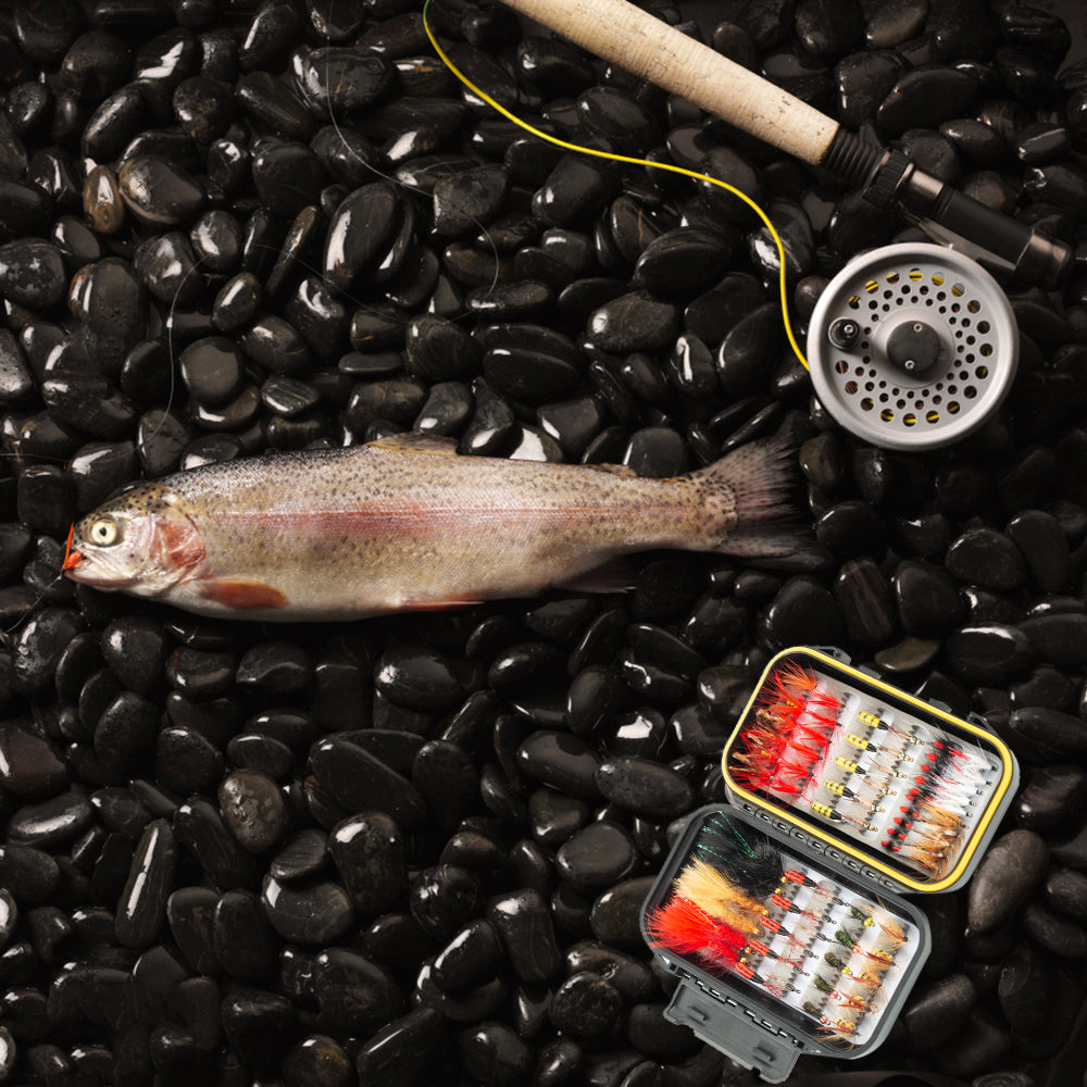 HERCULES Fly Fishing Flies Kit, Pack of 70 pcs, Dry Flies HERCULES SALE