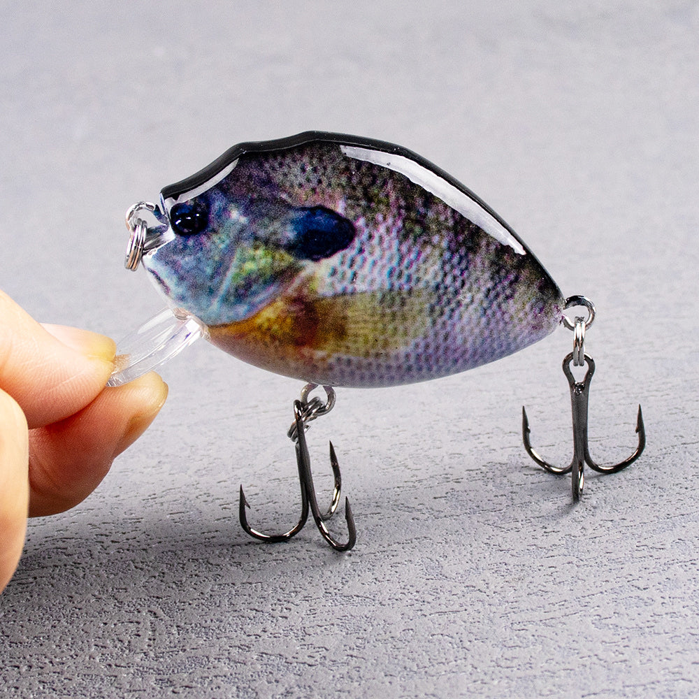 cranked fishing lures FORTIS Mini Crankbait Assortment 1 with 5 Mini Crankbait Its unique curved bill enables faster Fishing Lures Kit Mixed Including