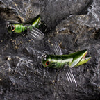 Topwater Grasshopper Lure with Foldable Wings Floating Crawler Bait HERCULES
