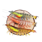 HERCULES Soft Lure Shrimp Swimbait Lead-wrapped Lure Hercules Fishing Tackle
