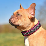 HERCULES 750 Paracord Rope 4mm Parachute Rope 1000FT HERCULES