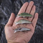 HERCULES Minnow Baits 5.5cm 5.5g Fishing Lure Box of 5PCS Hercules Fishing Tackle
