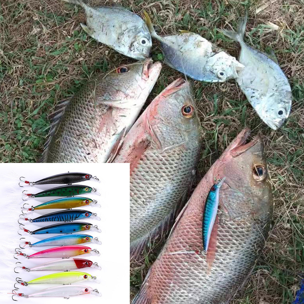 HERCULES Shallow Diving Minnow Lures Fishing Lures with Wether Tail, Pack of 10 HERCULES