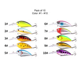 HERCULES 4" Crankbait Shallow Diving Fishing Lures HERCULES