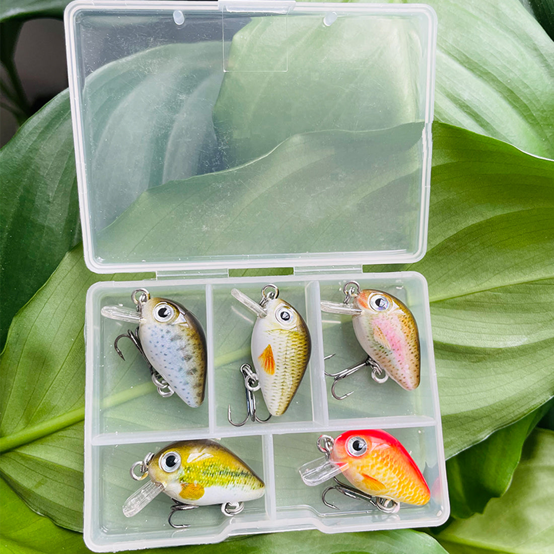 HERCULES Micro Crankbaits Cute Fishing Lures Set Hard Bait Box of