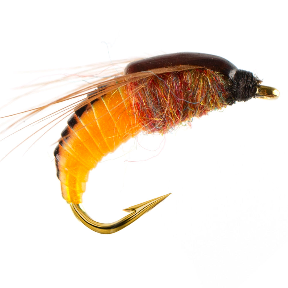 Nymph Bugelllv 6pcs #12 #14 Nymph Scud Fly Lures For Trout Fishing - Realistic  Insect Baits