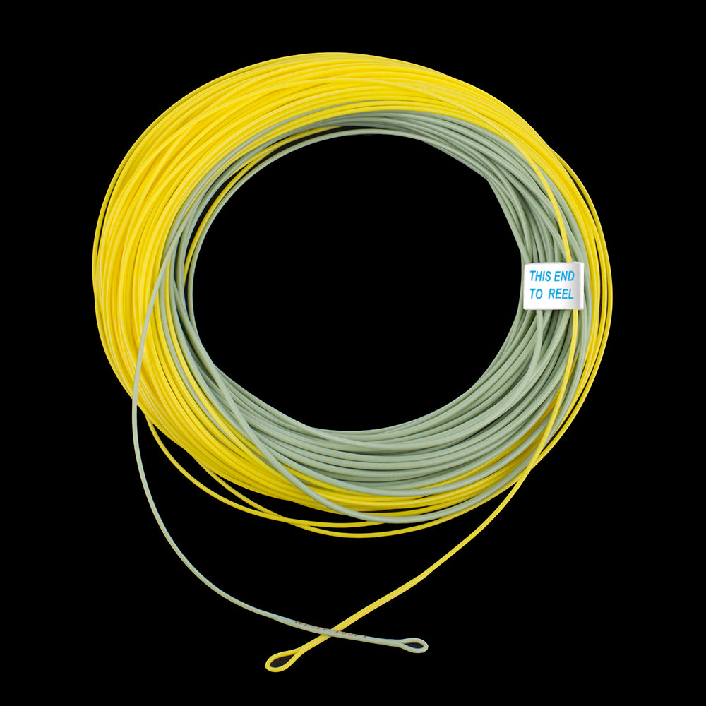 Fly Fishing Line Floating Weight Forward With Double Welded Loop WF3FWF8F  231225 From Fan06, $16.25