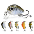 HERCULES 5Pcs/Box Mini Crankbaits Set Fishing Lures Hard Baits Swimbaits Boat Ocean Topwater Lures for Trout Bass Perch Fishing Lures HERCULES SALE