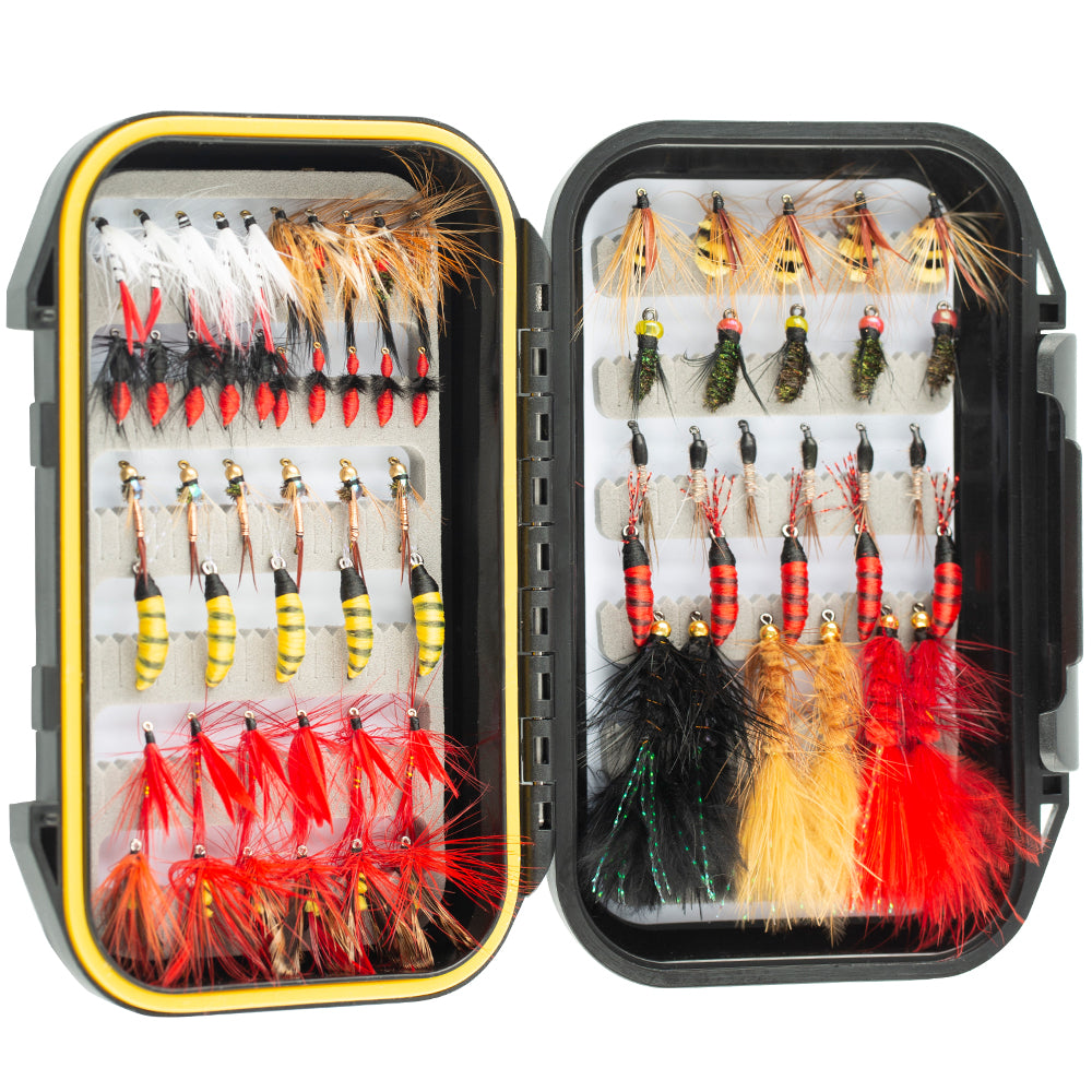Fly Fishing Flies Kit Fly Assortment Trout Fishing with Waterproof Fly Box, Dry/W